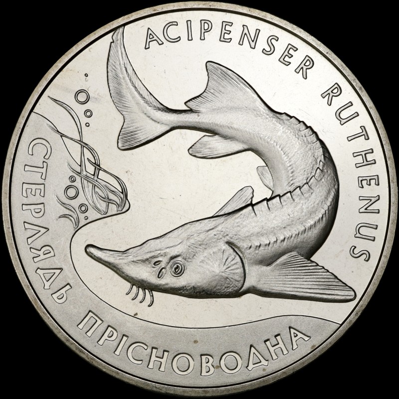 Монета Стерлядь прісноводна 2 гривні 2012 Україна