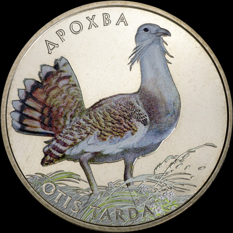 Монета Дрохва 2 гривні 2013 Україна