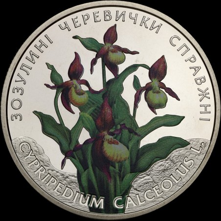 Монета Кукушкины туфли настоящие 2 гривны 2016 Украина