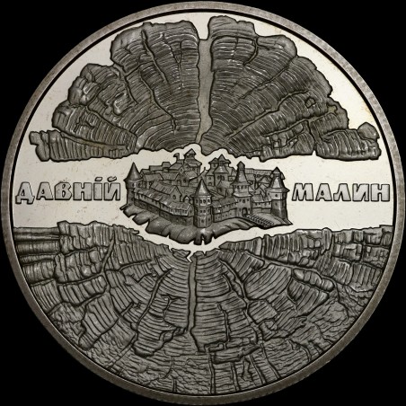 Coin Ancient Malyn 5 hryvnias 2016 Ukraine