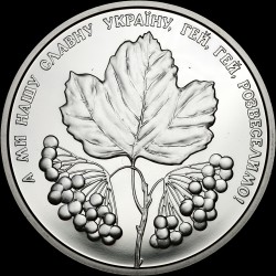 Монета Ой в лугу красная калина 5 гривен 2022 Украина