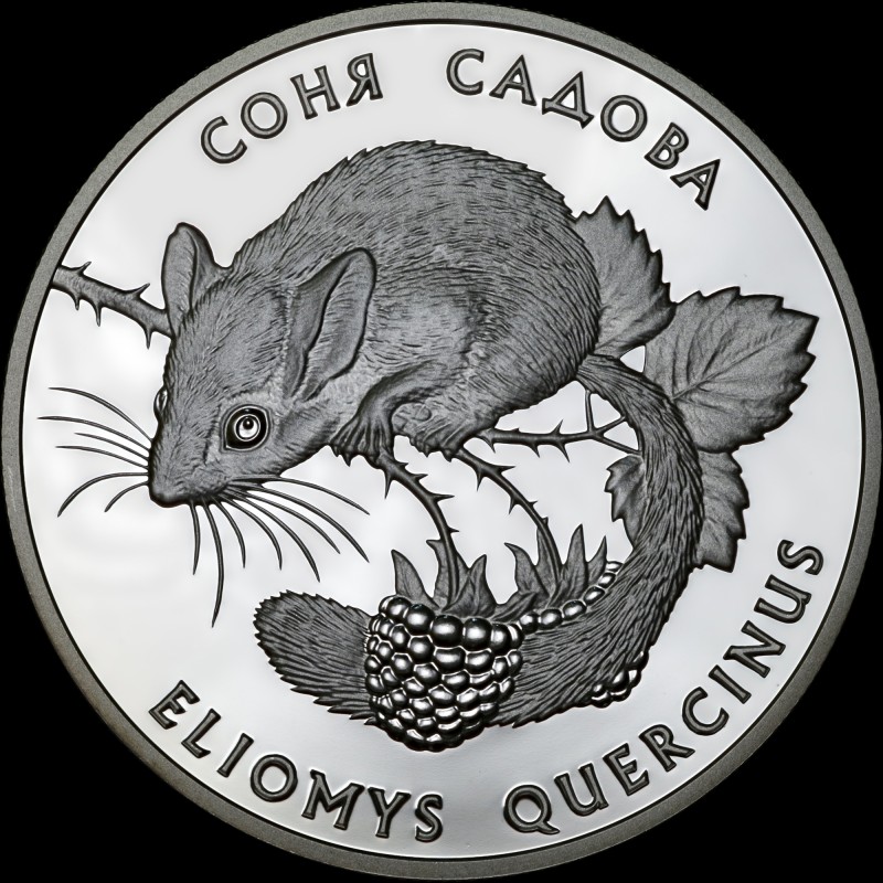 Silver coin Garden Dormouse 10 hryvnias 1999 Ukraine