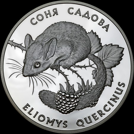 Silver coin Garden Dormouse 10 hryvnias 1999 Ukraine