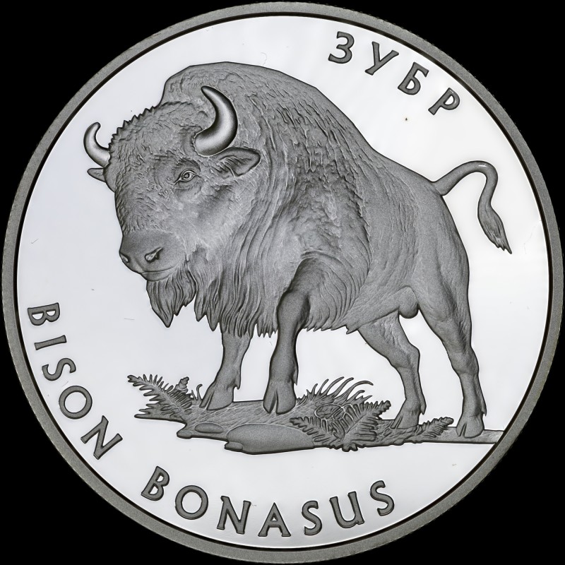 Silver coin BISON BONASUS 10 hryvnias 2003 Ukraine