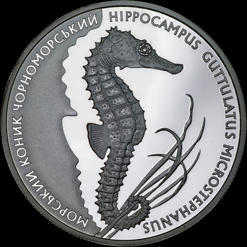Silver coin Seahorse 10 hryvnias 2003 Ukraine