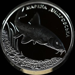 Silver coin Dnieper Barbel 10 hryvnias 2018 Ukraine