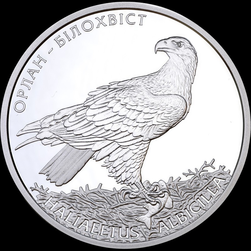 Silver coin White-Tailed Eagle 10 hryvnias 2019 Ukraine