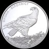 Silver coin White-Tailed Eagle 10 hryvnias 2019 Ukraine