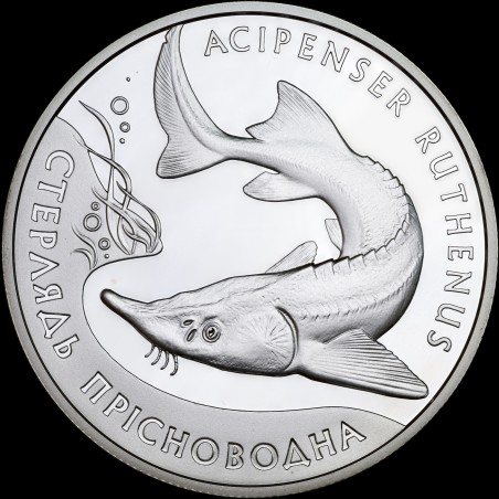 Срібна монета Стерлядь прісноводна 10 гривень 2012 Україна