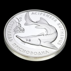 Серебряная монета Стерлядь пресноводная 10 гривен 2012 Украина