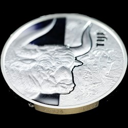 Silver coin Auroch 5 hryvnias 2017 Ukraine