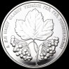 Coin Oh, the Guelder-Rose in the Meadow 5 hryvnias 2022 Ukraine