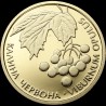 Золотая монета Калина красная 2 гривны 2010 Украина