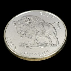 Монета Зубр 2 гривні 2003 Україна